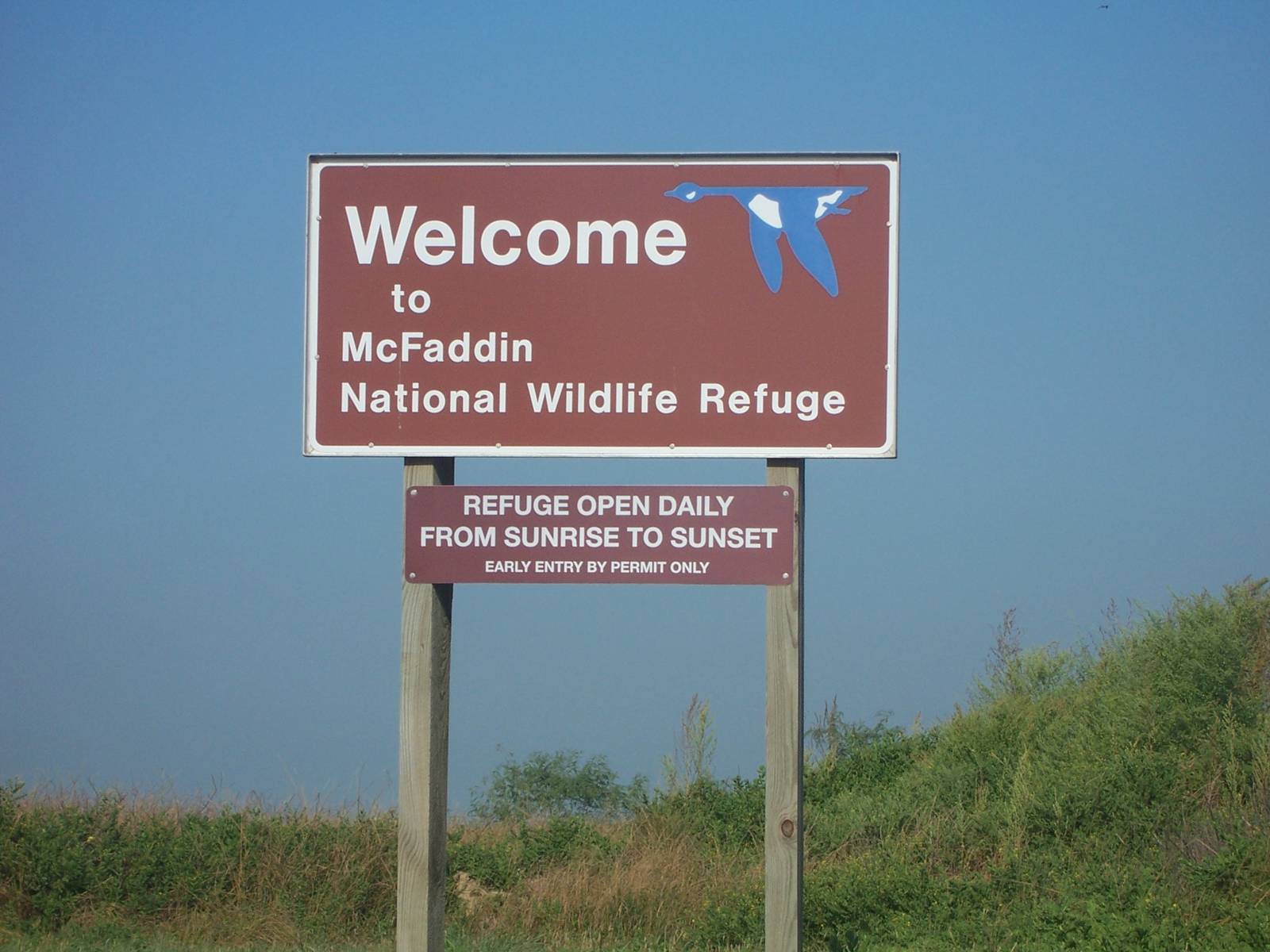 McFaddin NWR - Texas