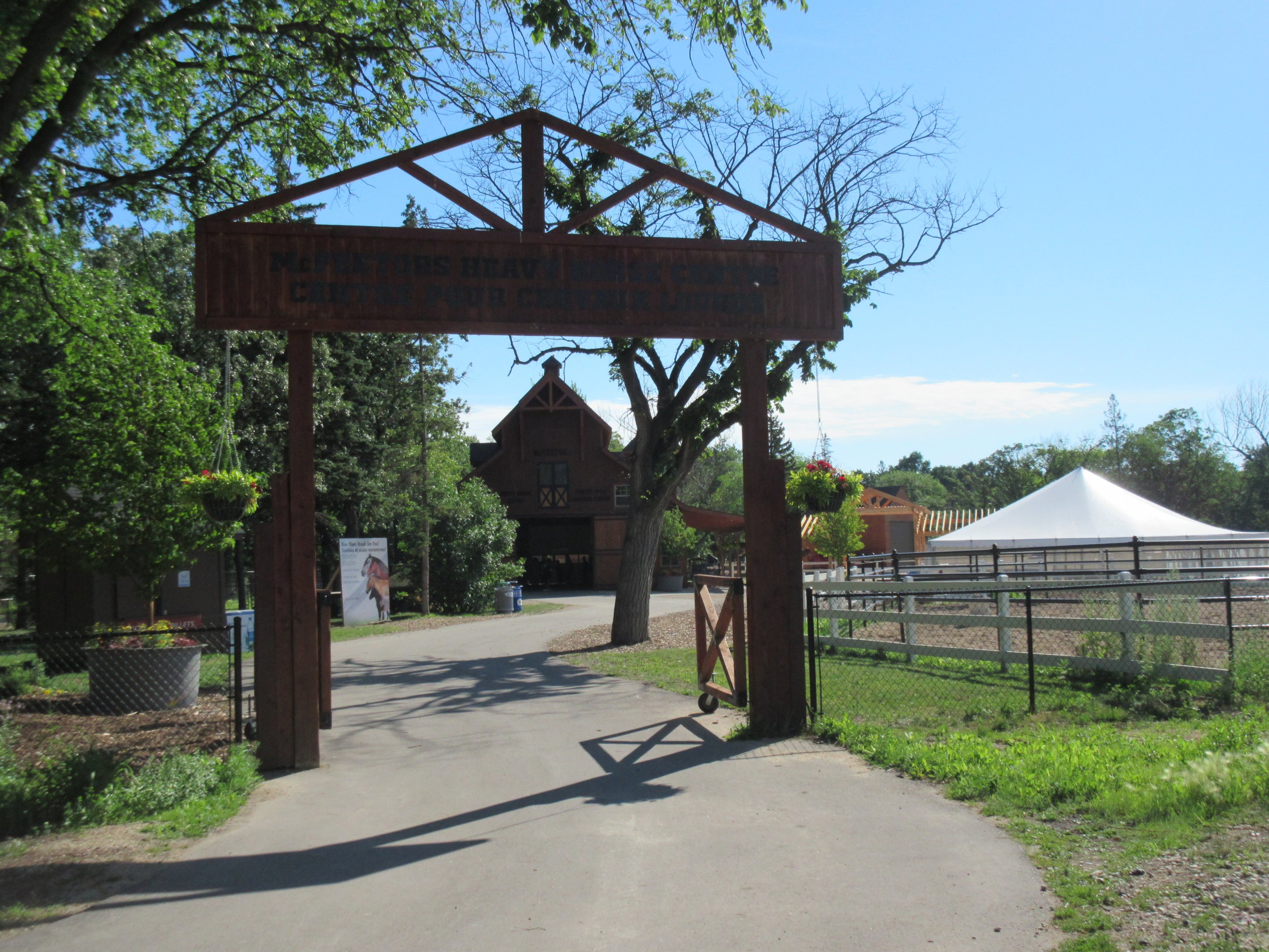 McFeetor's Heavy Horse Centre - New in 2015