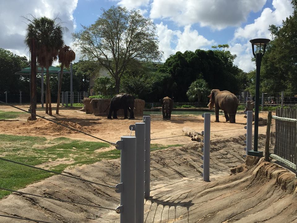 McNair Asian Elephant Habitat