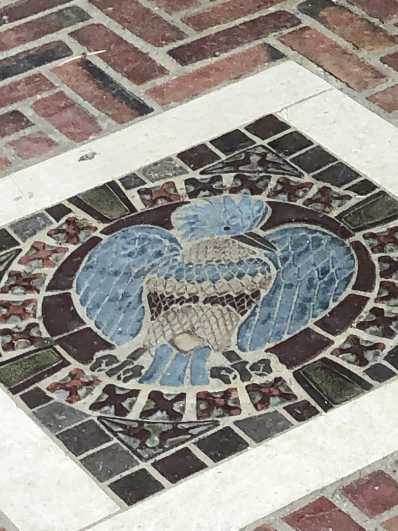 McNeil Avian Center 1916 Victoria Crowned Pigeon Mosaic