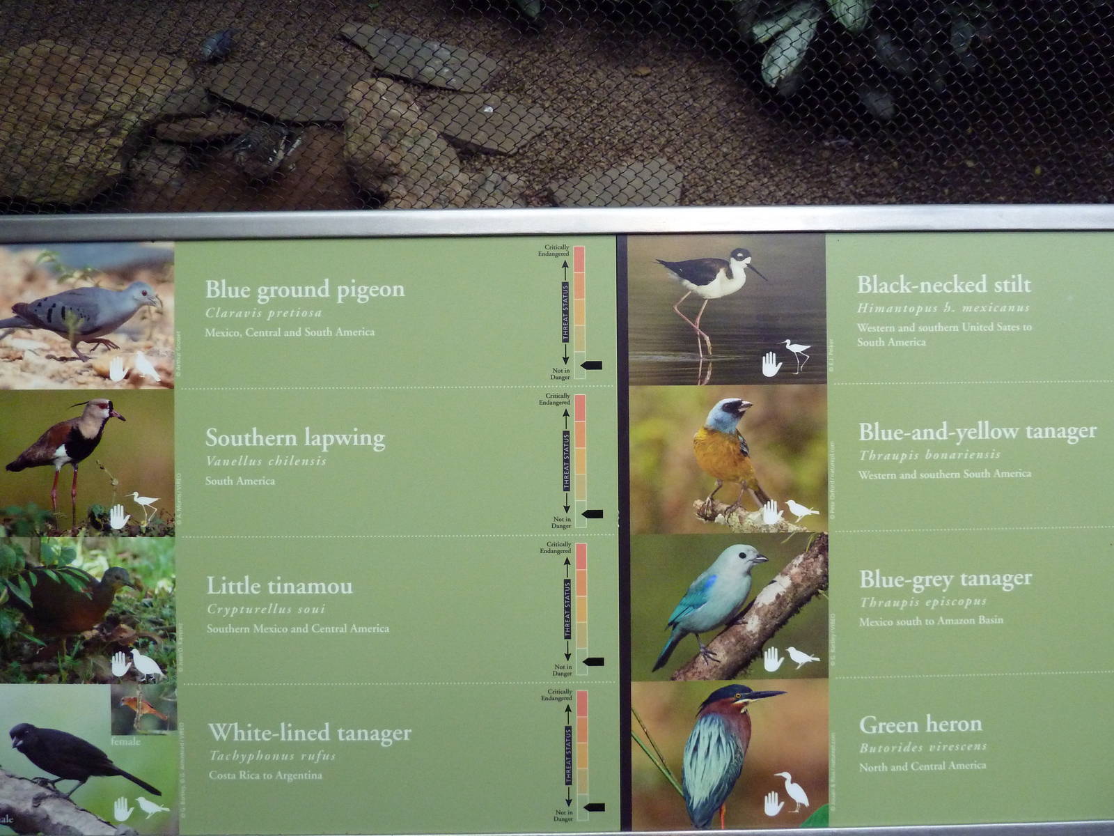 McNeil Avian Center - Built In 1916 - Signage