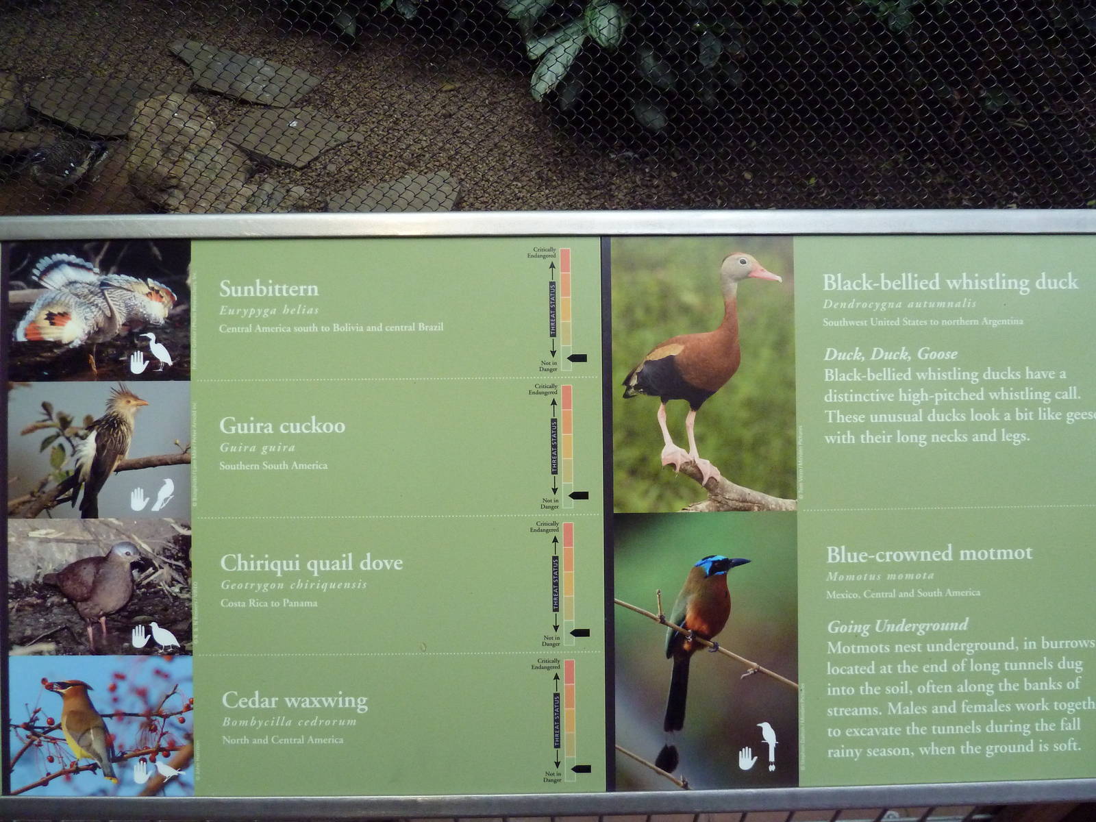 McNeil Avian Center - Built In 1916 - Signage