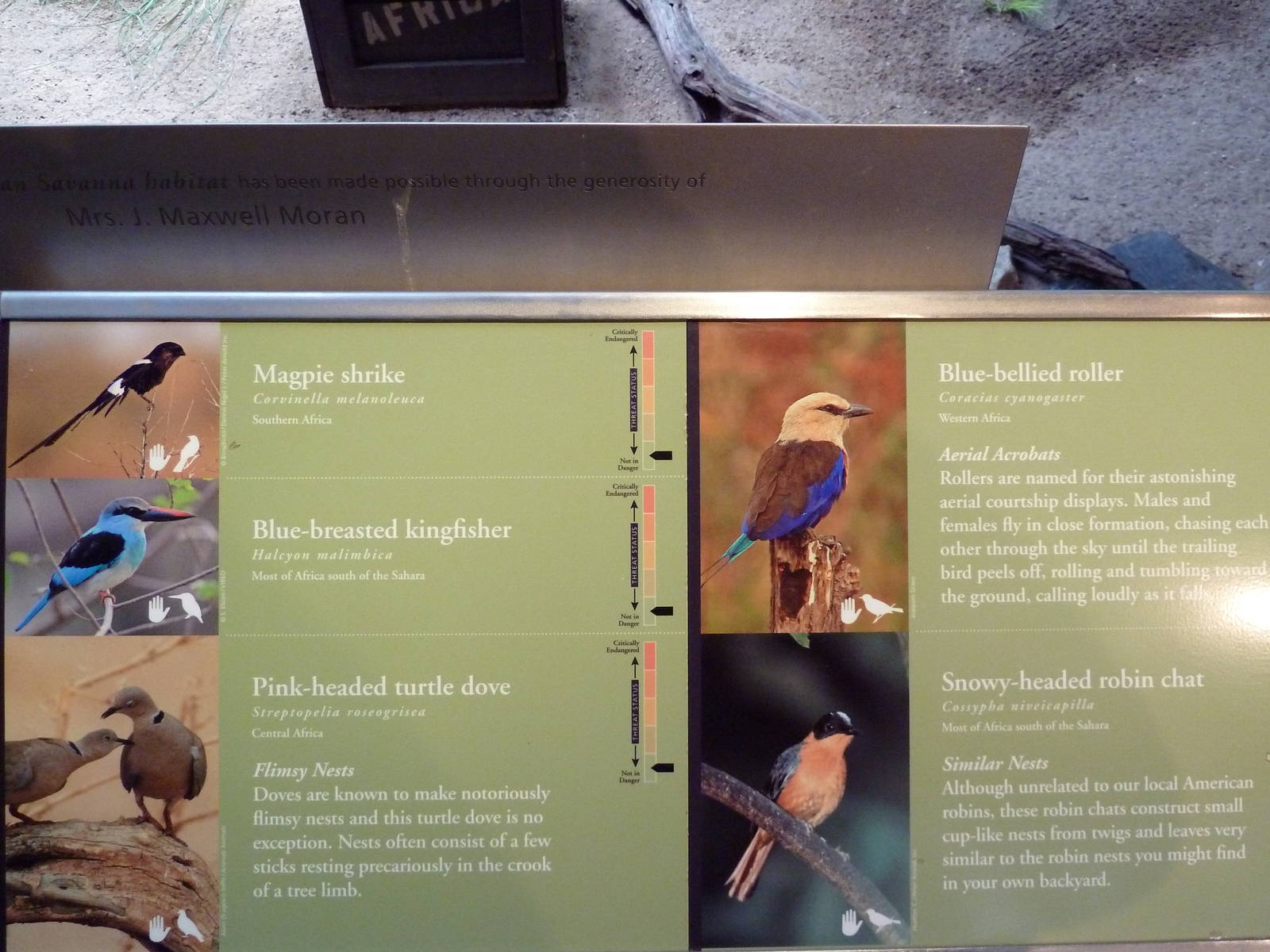 McNeil Avian Center - Built In 1916 - Signage