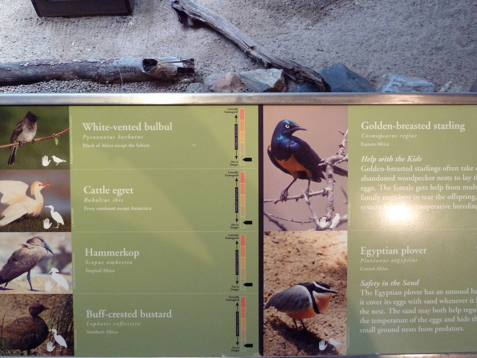 McNeil Avian Center - Built In 1916 - Signage