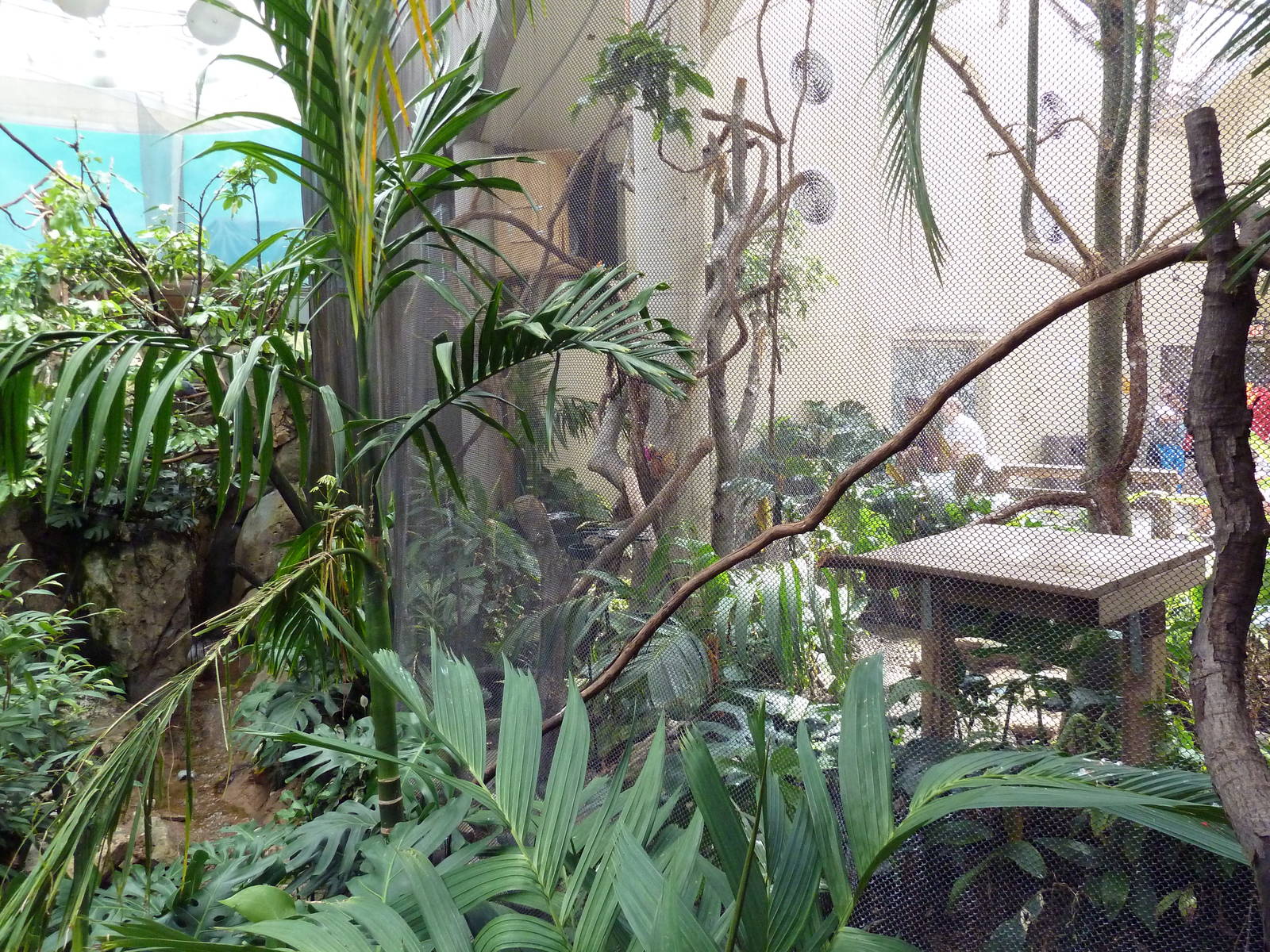 McNeil Avian Center - Built In 1916