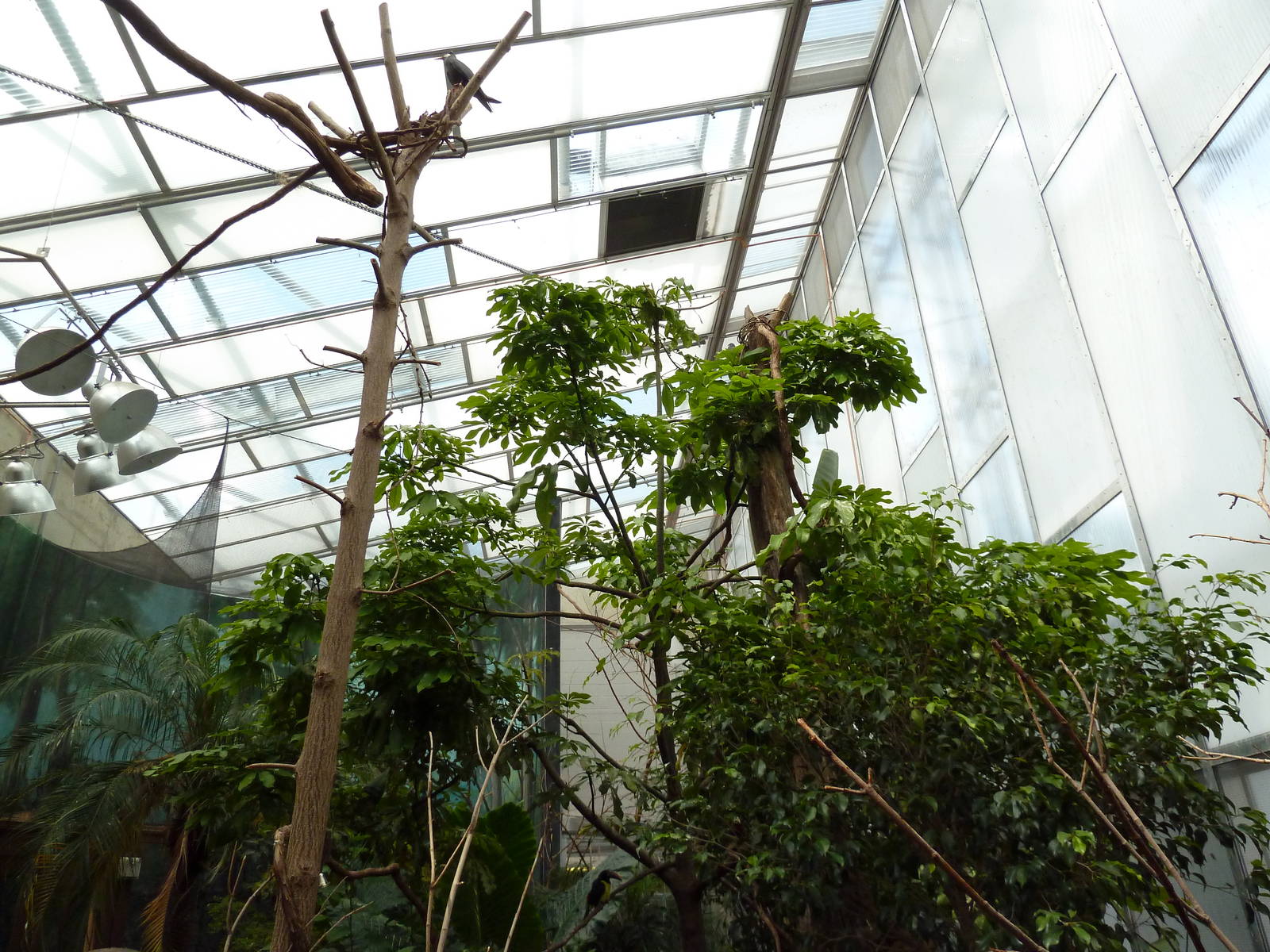 McNeil Avian Center - Built In 1916