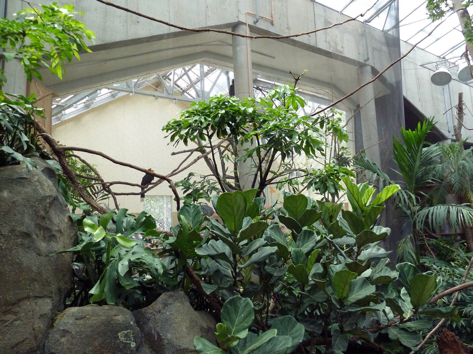 McNeil Avian Center - Built In 1916