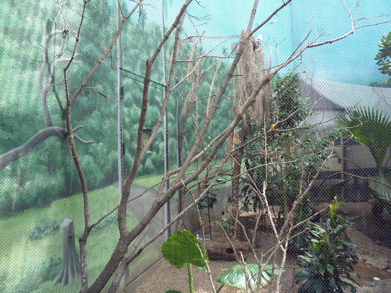 McNeil Avian Center - Built In 1916