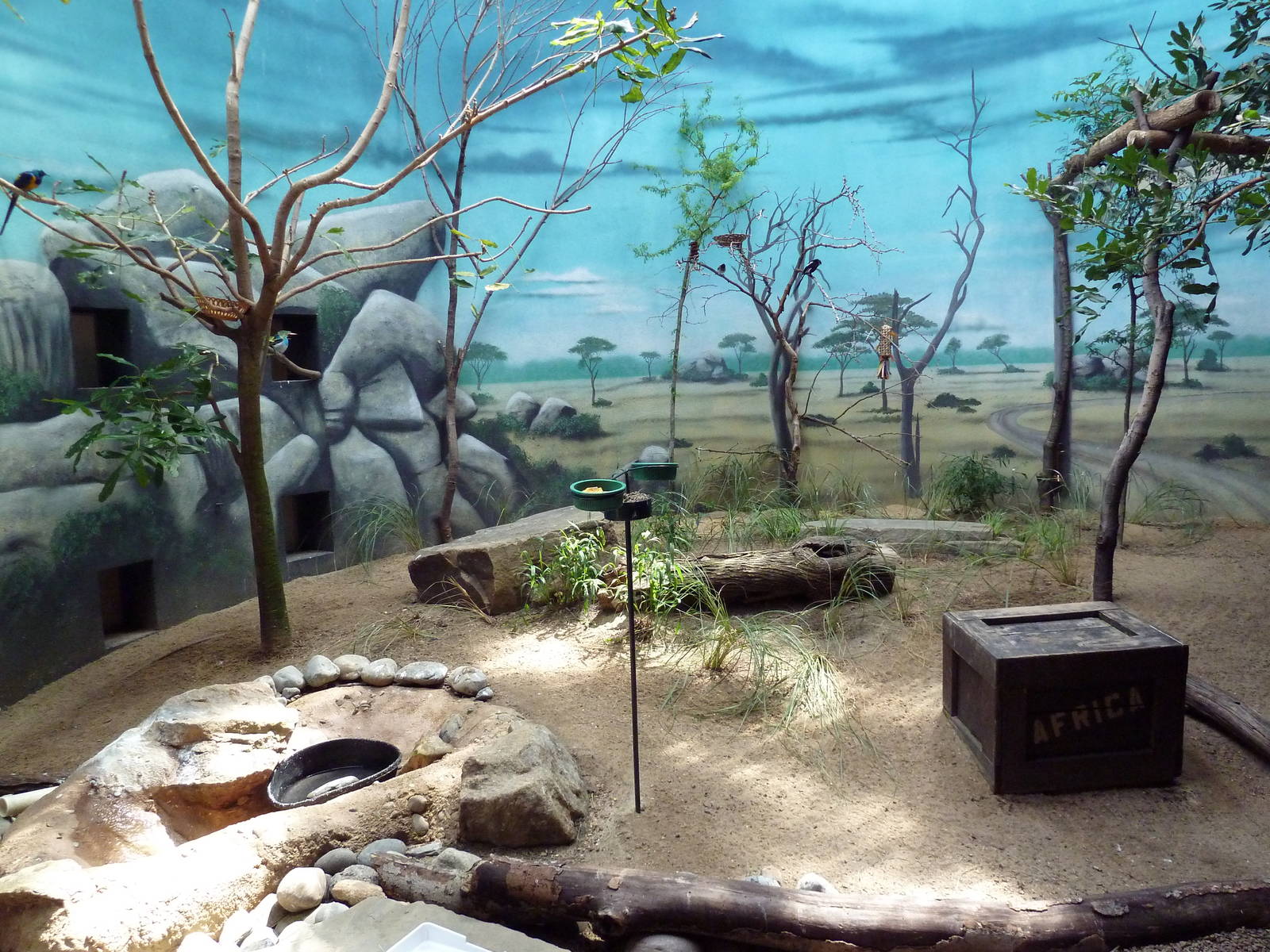 McNeil Avian Center - Built In 1916