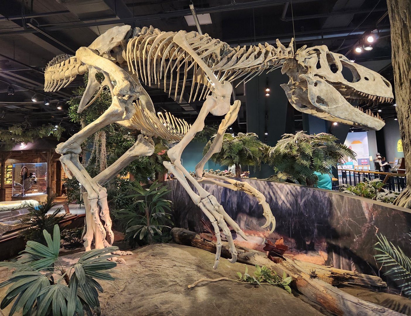McWane Science Center - Appalachiosaurus montgomeriensis