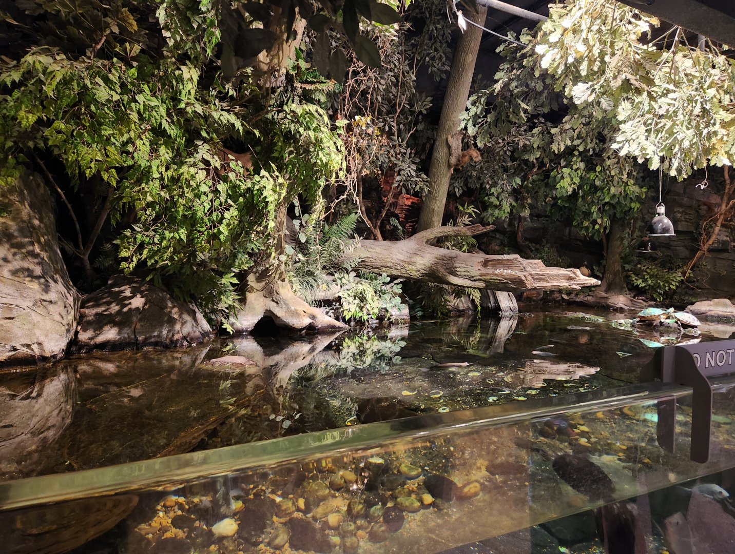 McWane Science Center - Swamp exhibit
