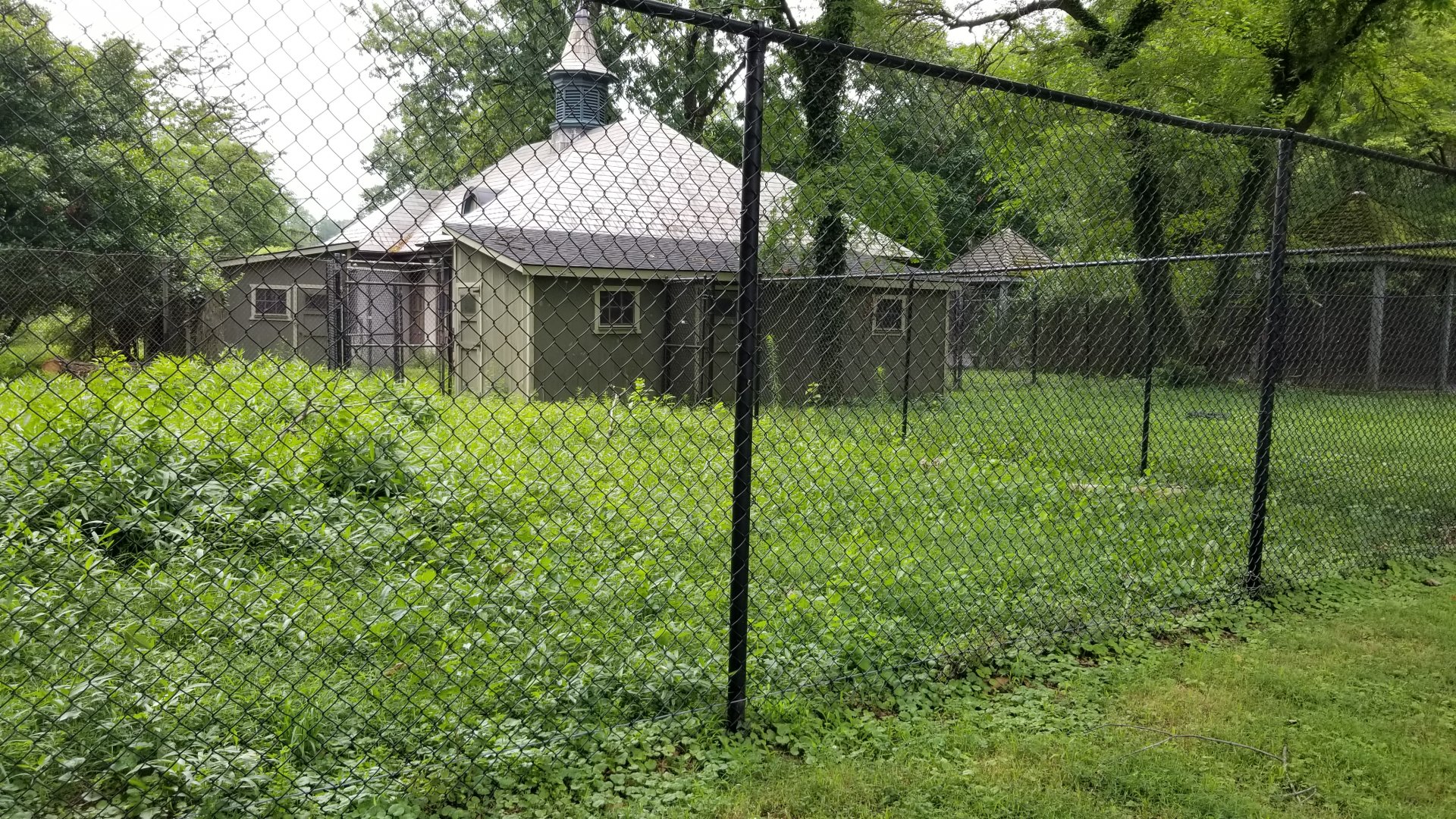 MD Zoo, Main Valley - Back of crane building