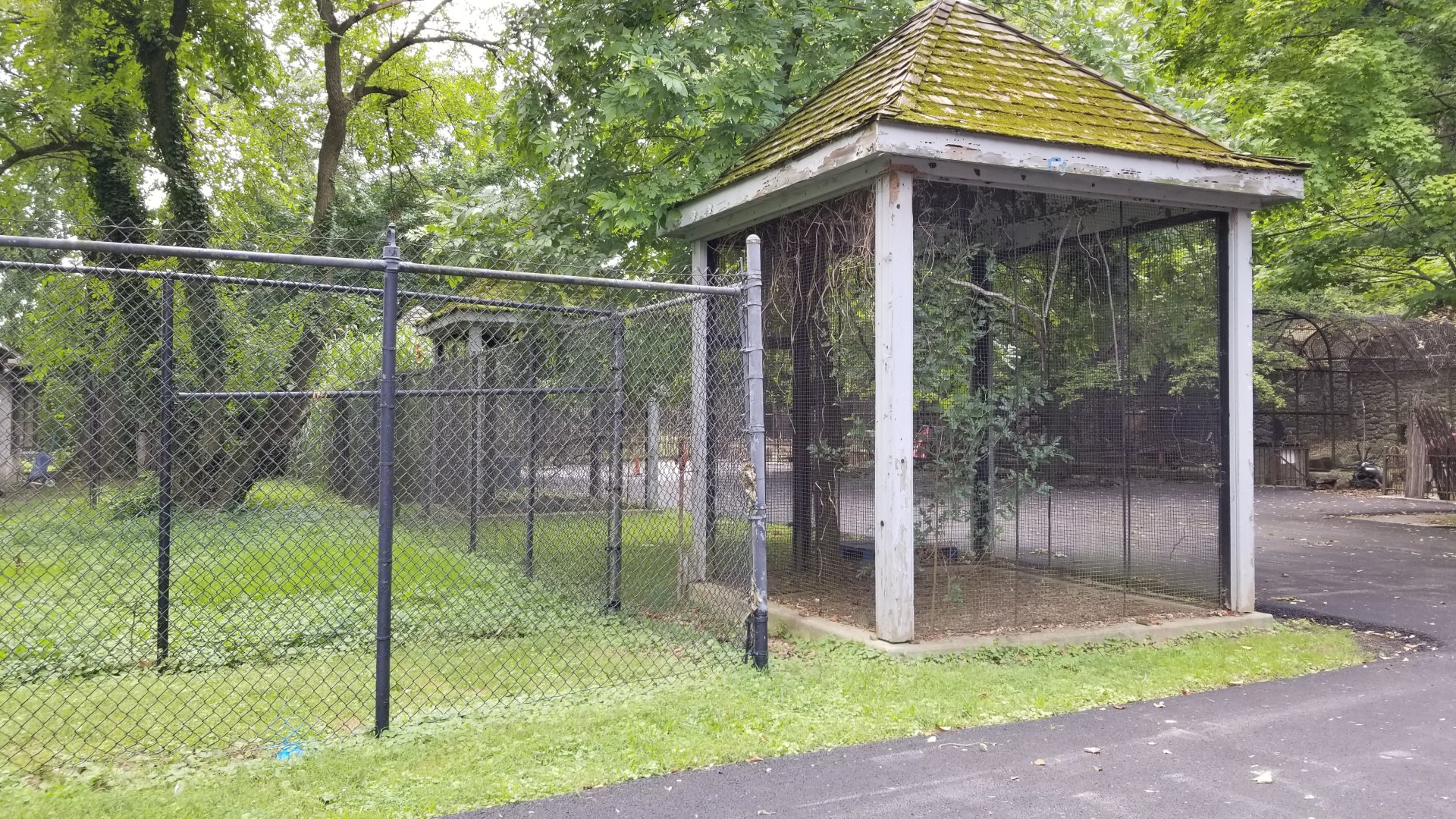 MD Zoo, Main Valley - Bird, etc cage next to back of crane yard