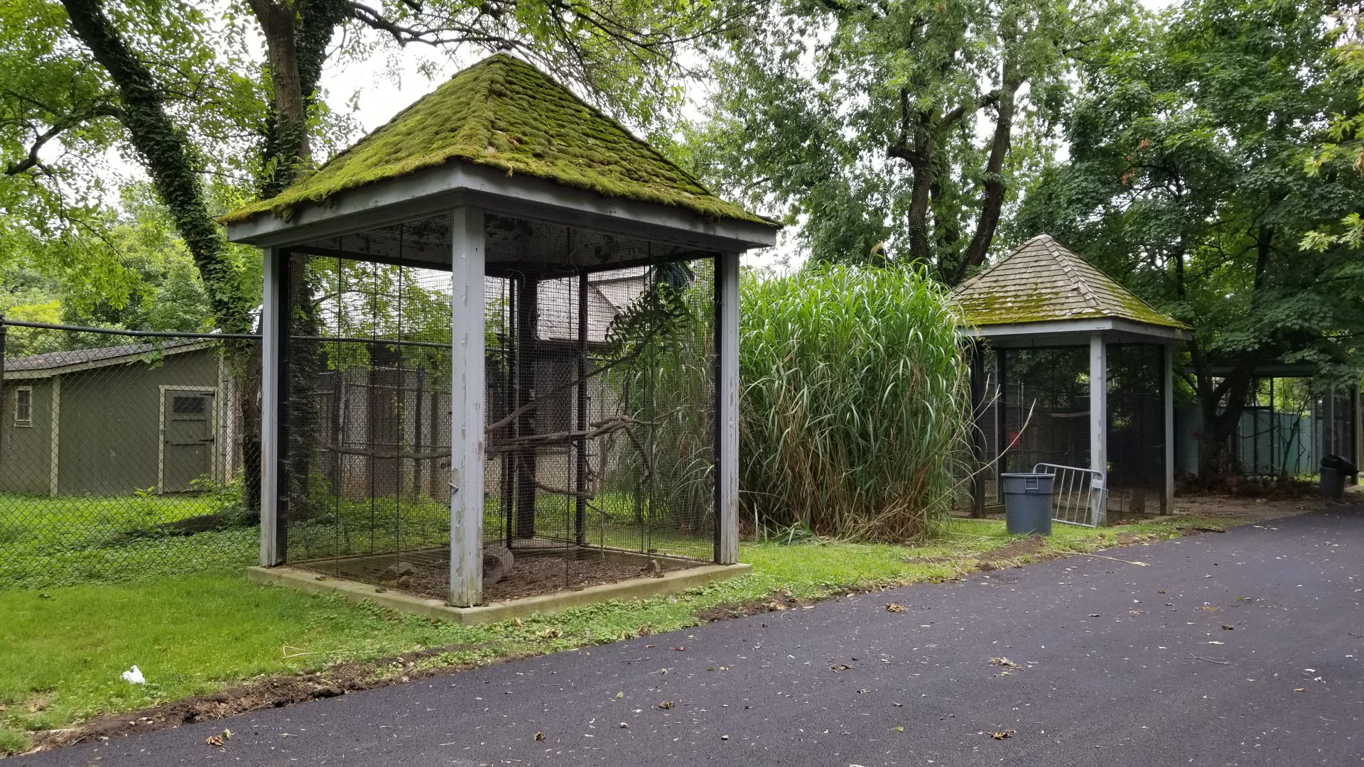 MD Zoo, Main Valley - Bird, etc cage next to back of crane yard