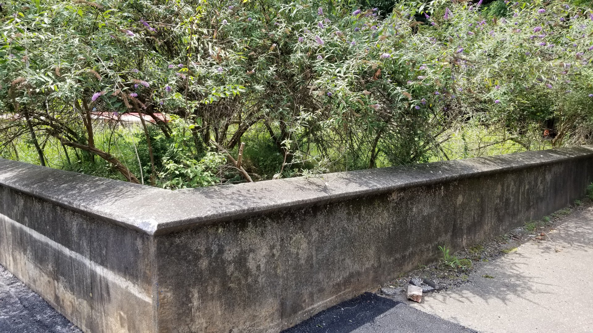MD Zoo, Main Valley - Former exhibit, most recently held prairie dogs