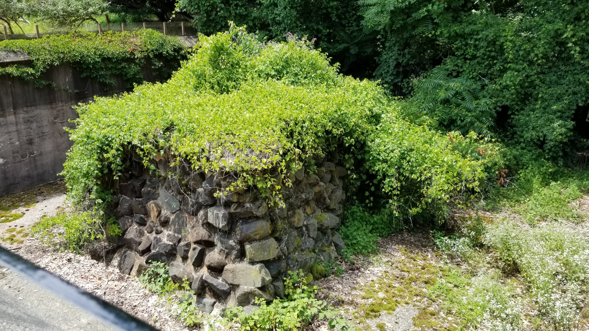 MD Zoo, Main Valley - Former polar bear exhibit