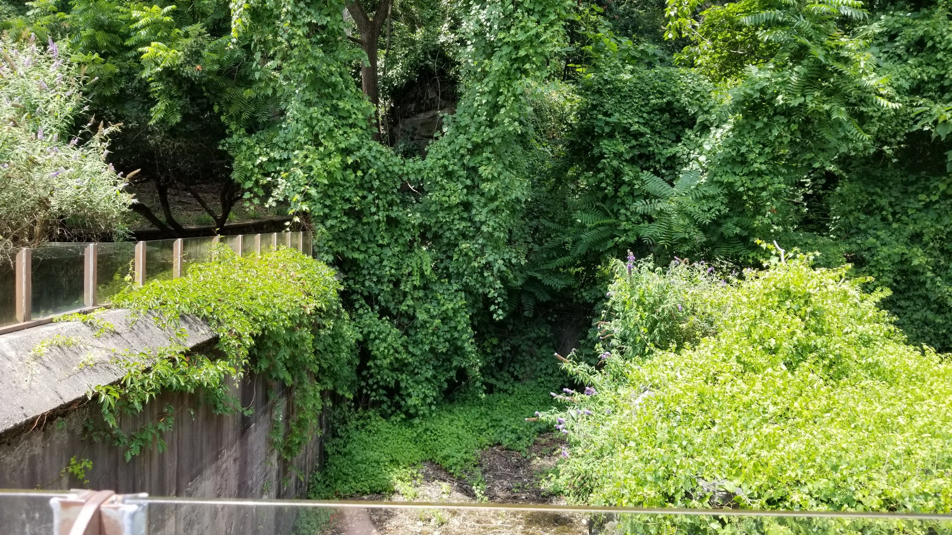 MD Zoo, Main Valley - Former polar bear exhibit