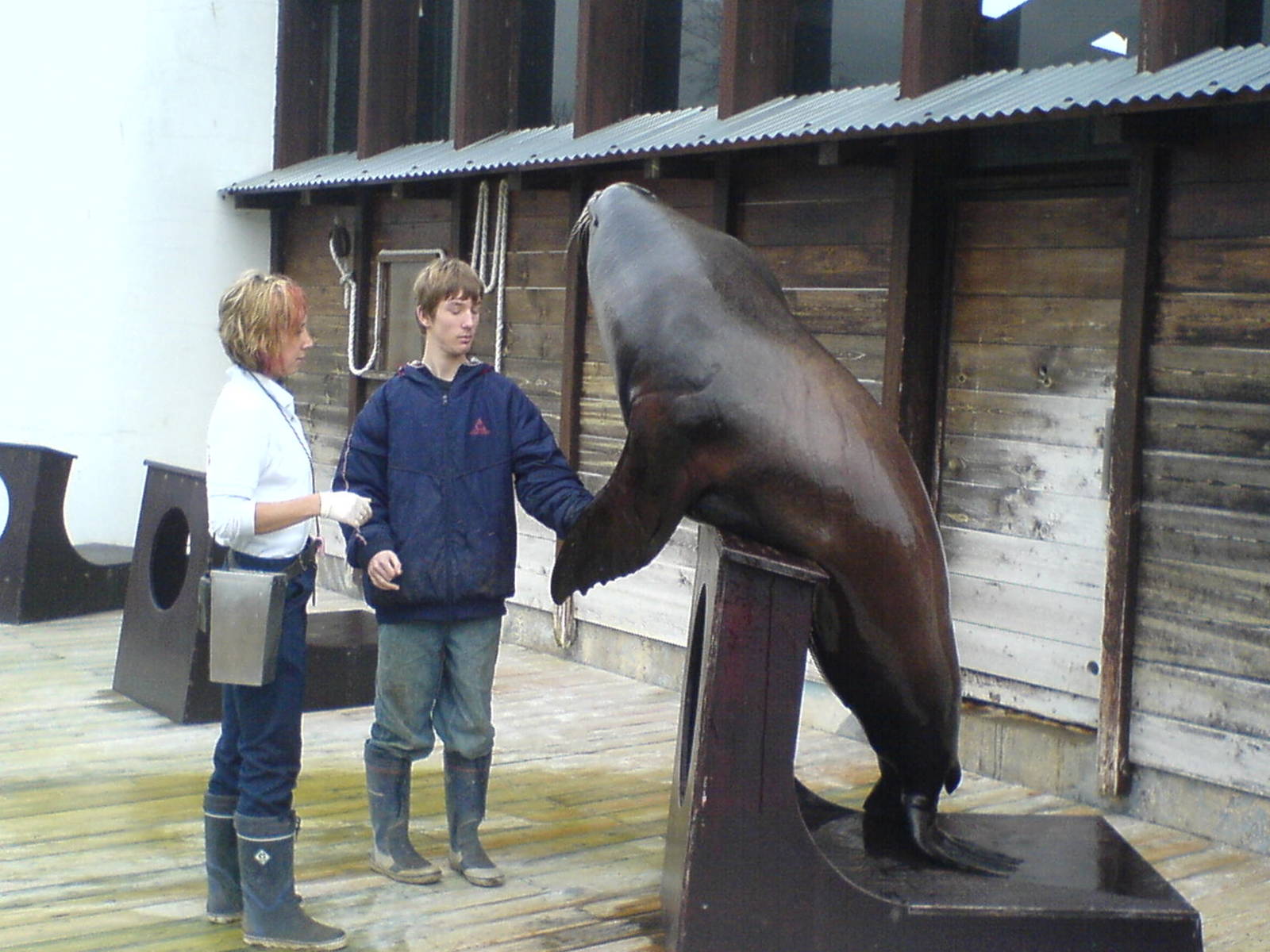 me and berkley on my work experience