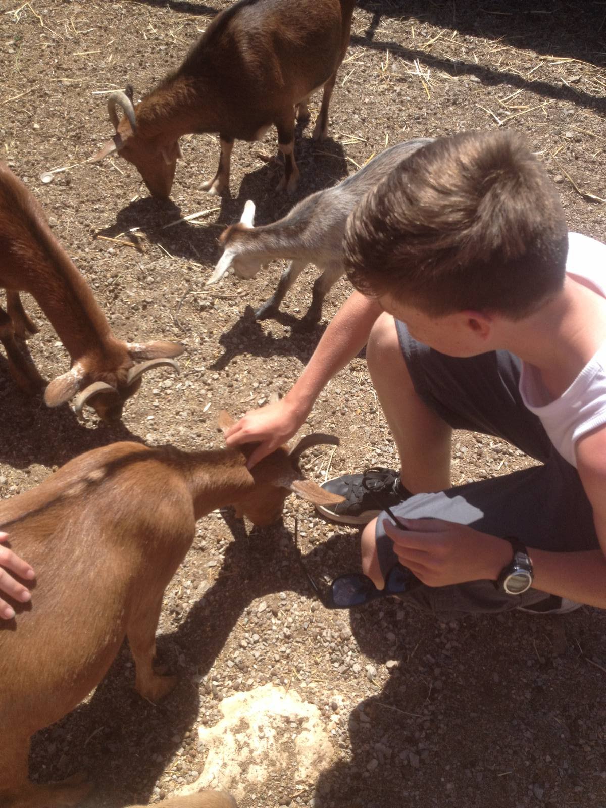 Me and some goats