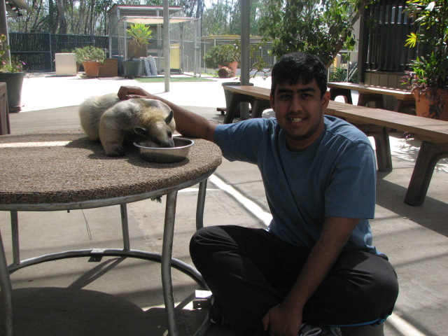 Me and tamandua