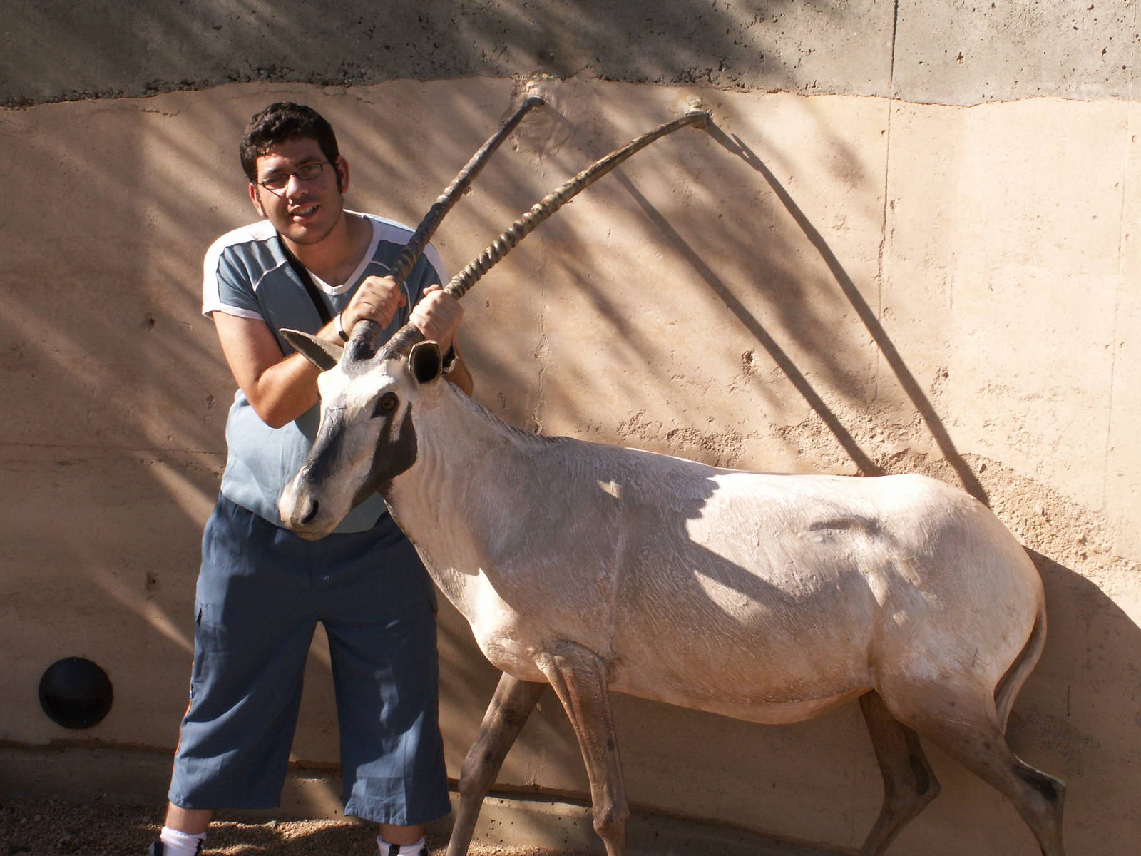 me and the (fake) oryx