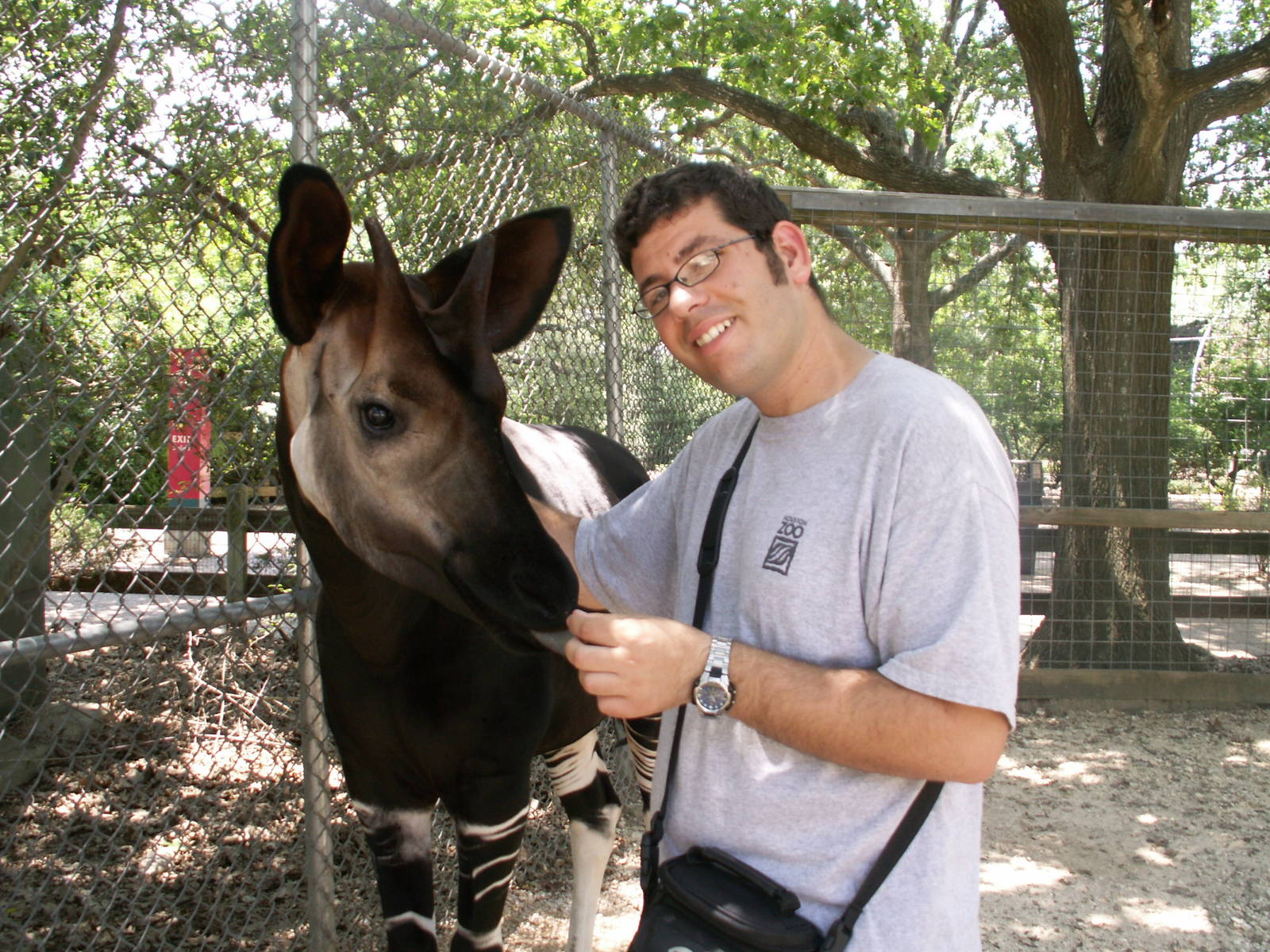 me and the okapi