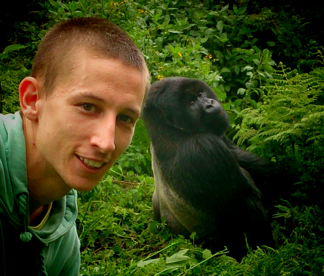 me and the silverback