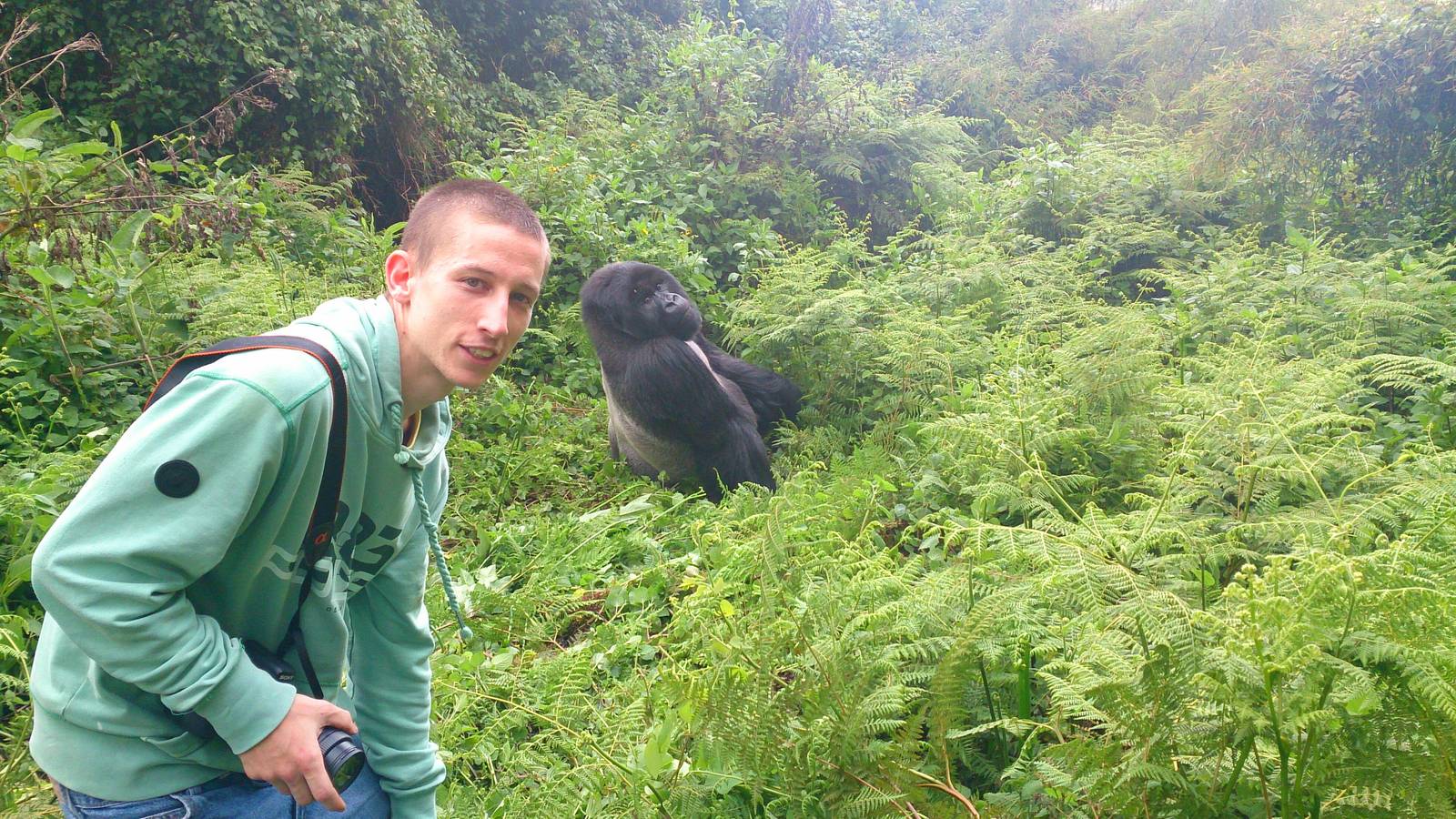 me and the silverback