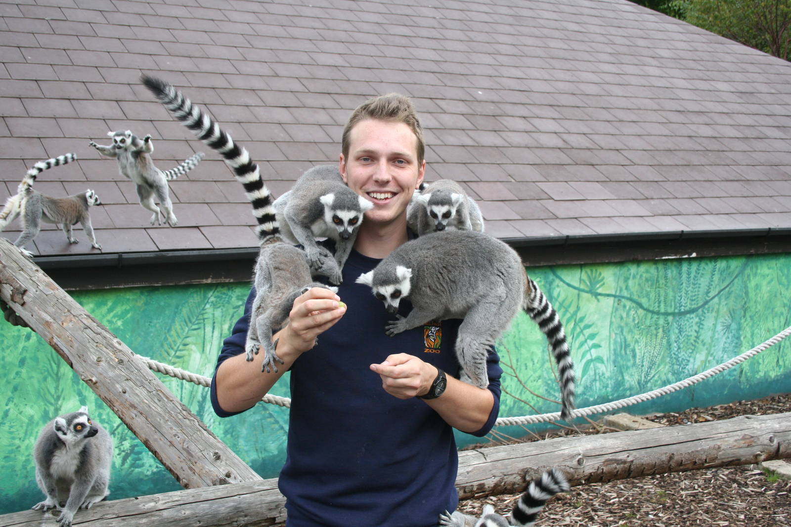 Me at work! - Belfast