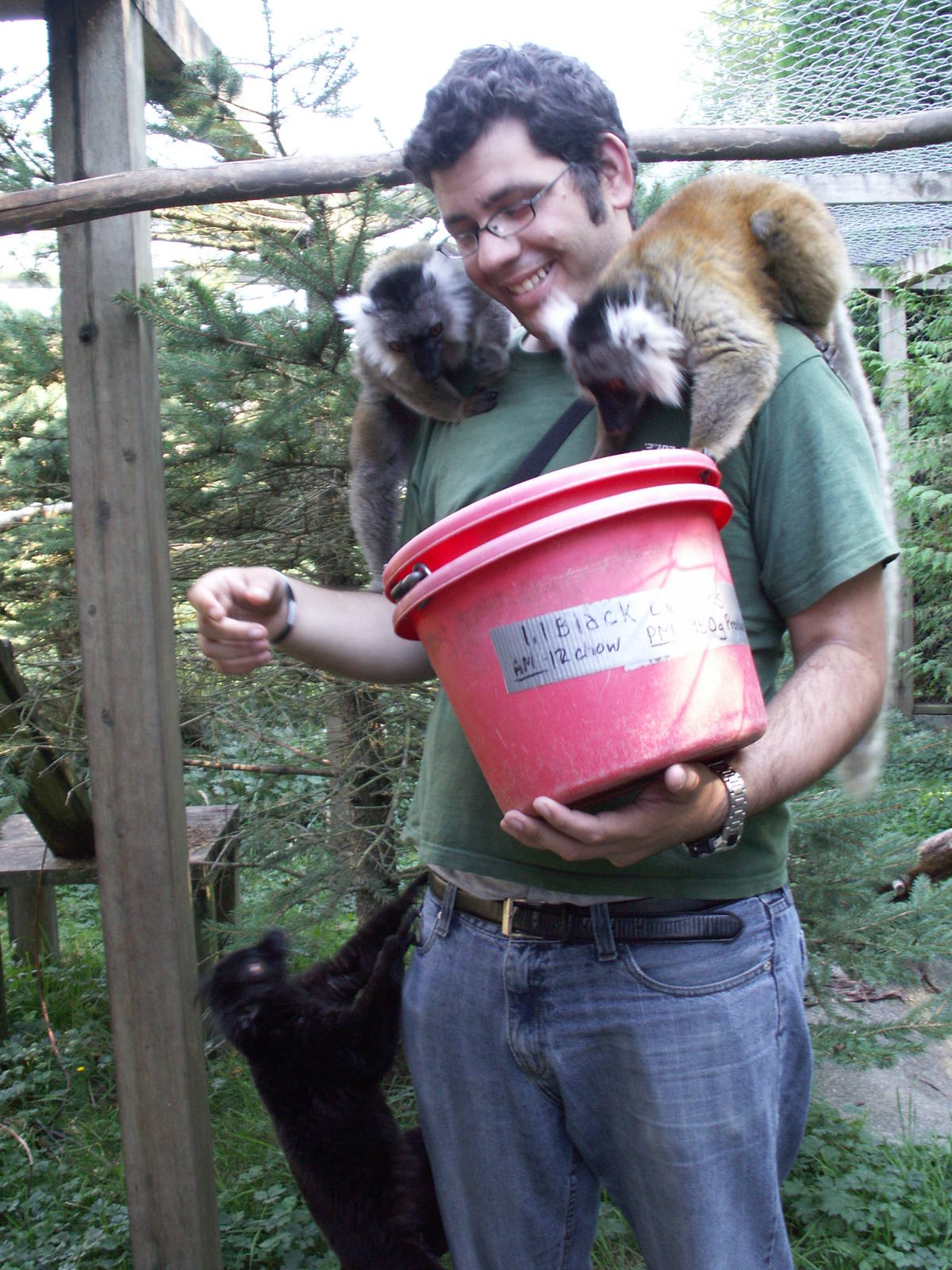 me feeding black lemurs - taking what they want