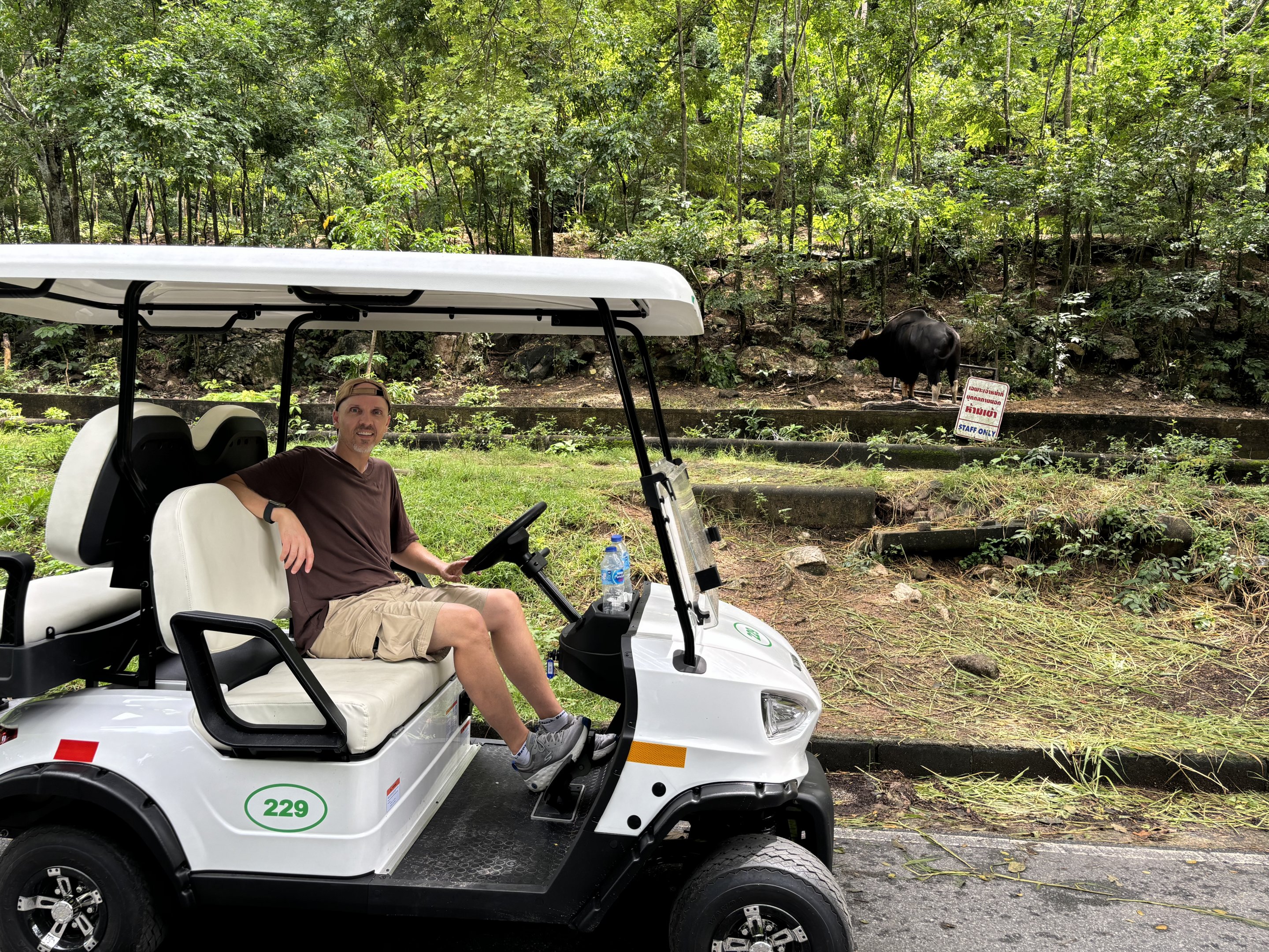 Me + Gaur (the zoo requires everyone to rent a golf cart)