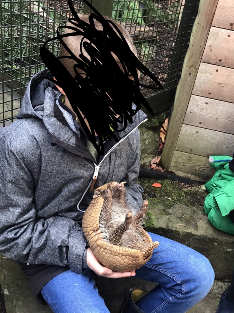 Me with a 3 banded armadillo (2019)