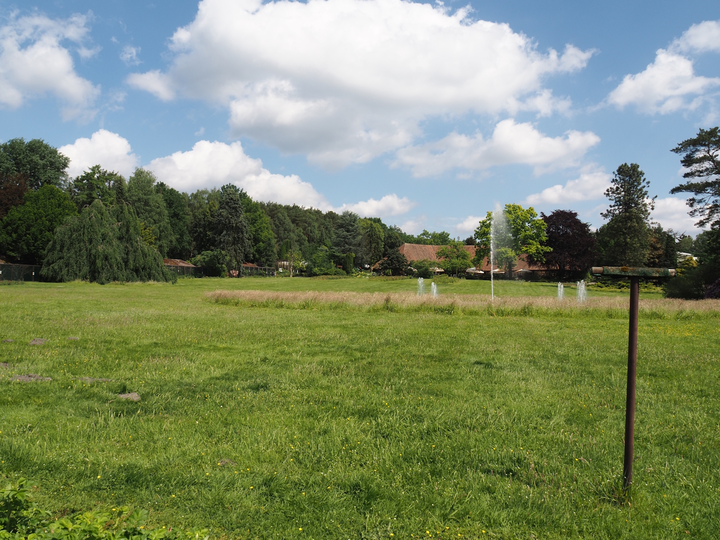 Meadow and pond with fountains seen from the bird show area towards the Rosencafé, 2024-05-23