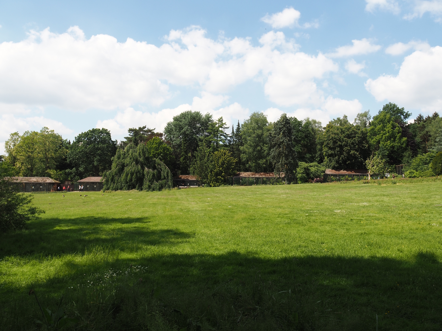 Meadow between the bird show area, the Rosencafé and the parrot aviaries, 2024-05-23