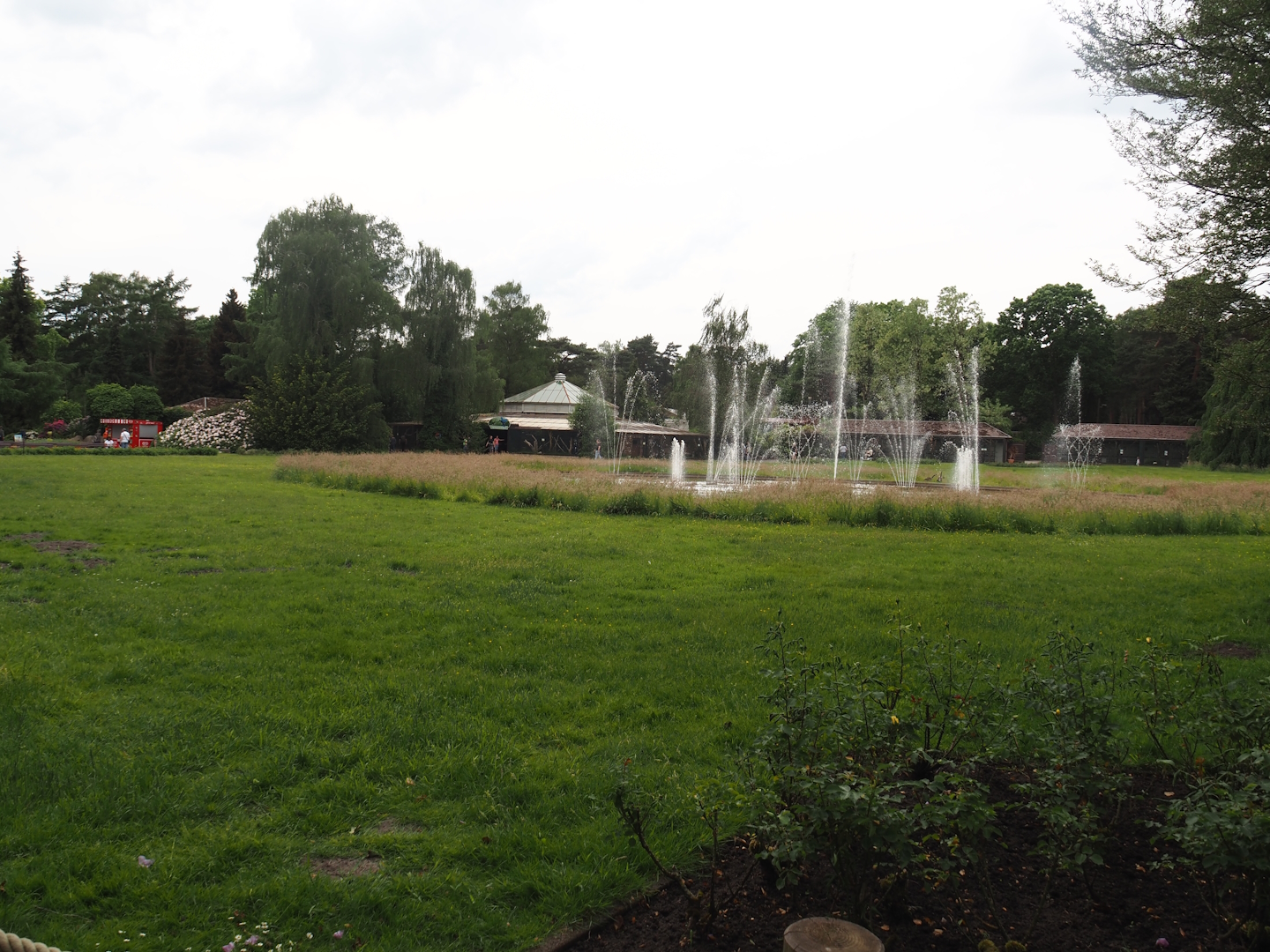 Meadow, Pond wit fountains and rose gardens, 2024-05-21