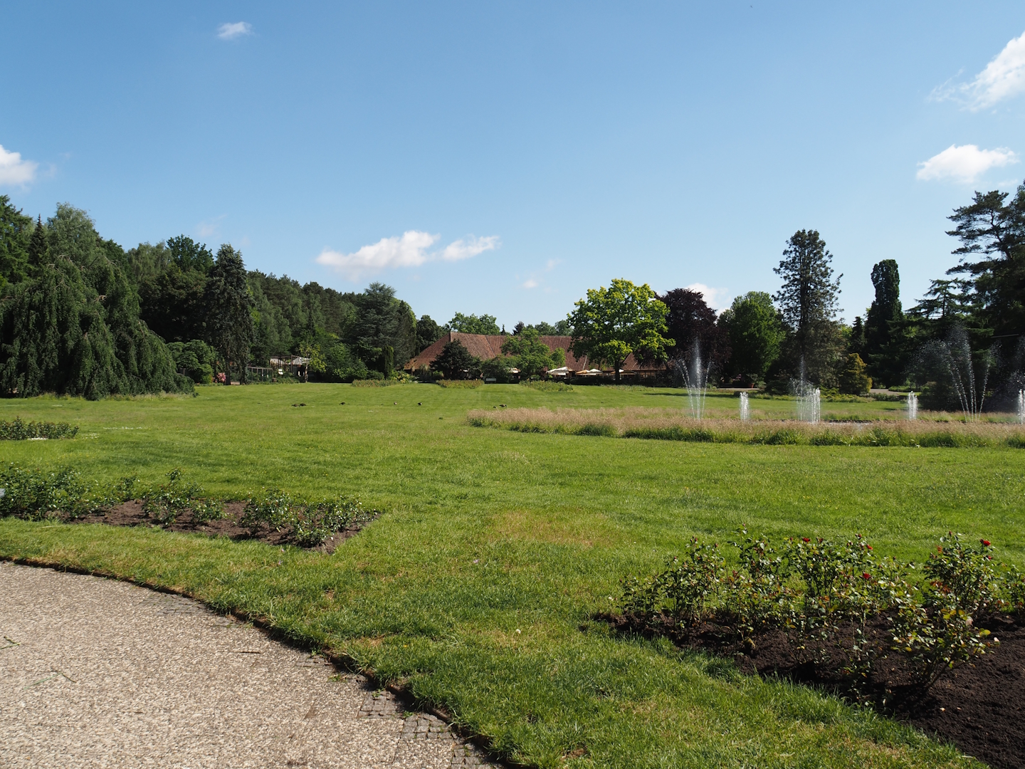 Meadow, pond with fountains and rose gardens between the bird show area and the Rosencafé, 2024-05-23