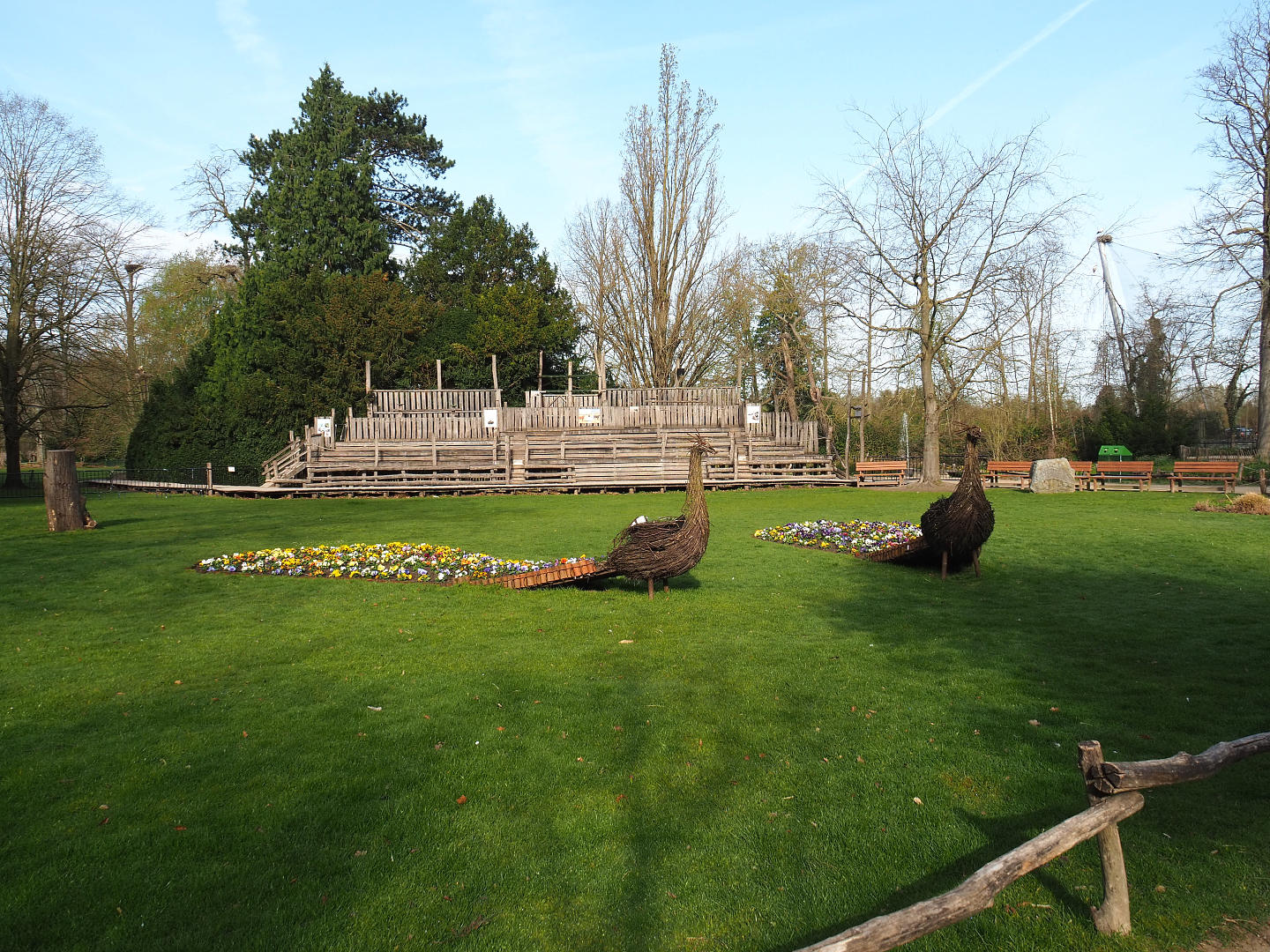 Meadow with peacock wicker decorative structures and grandstand for raptor show, 2022-04-12