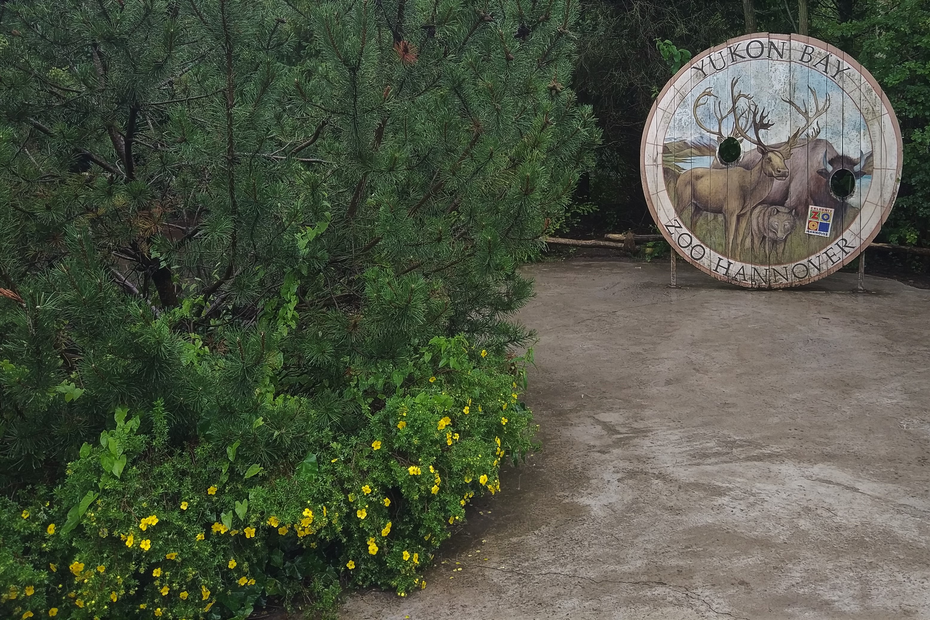 Medallion - North America