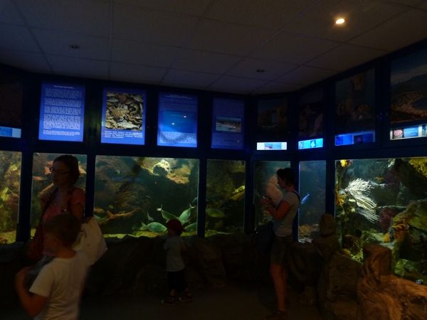 Medditeranean Sea tanks