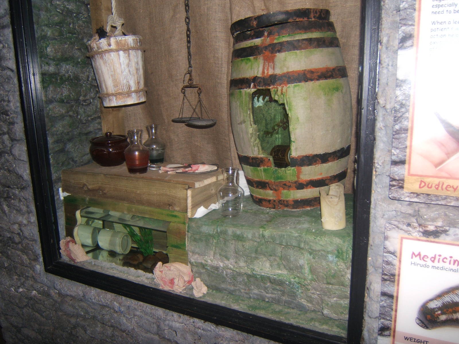 Medicinal Leech exhibit