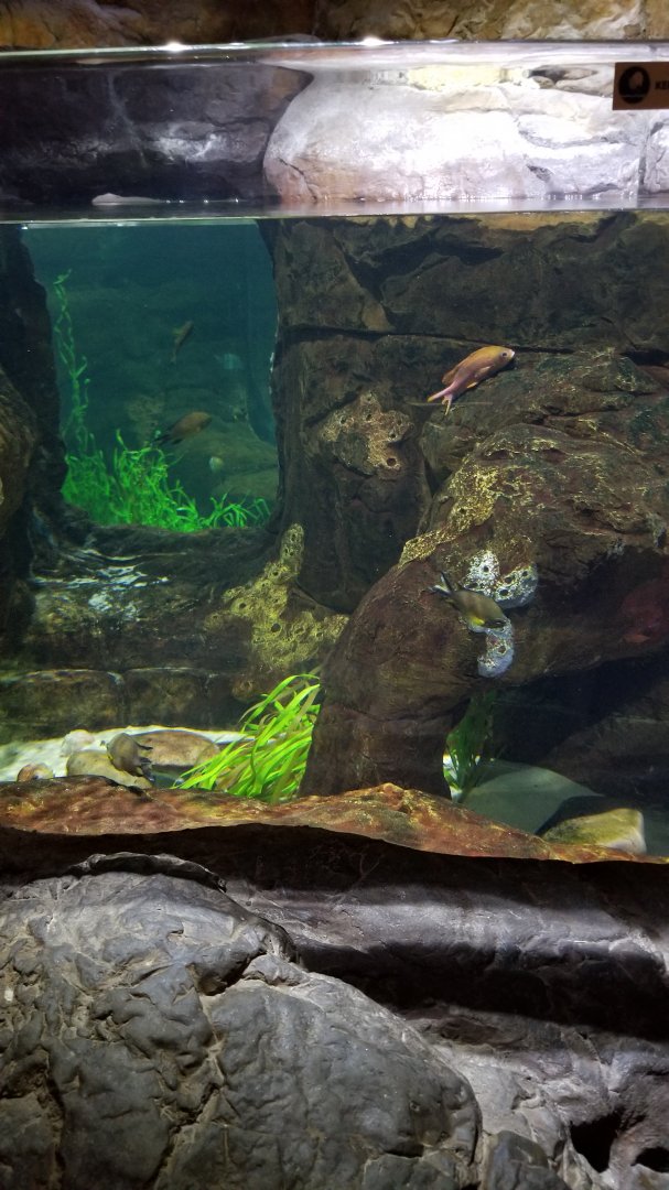 Mediterannean Sea exhibit