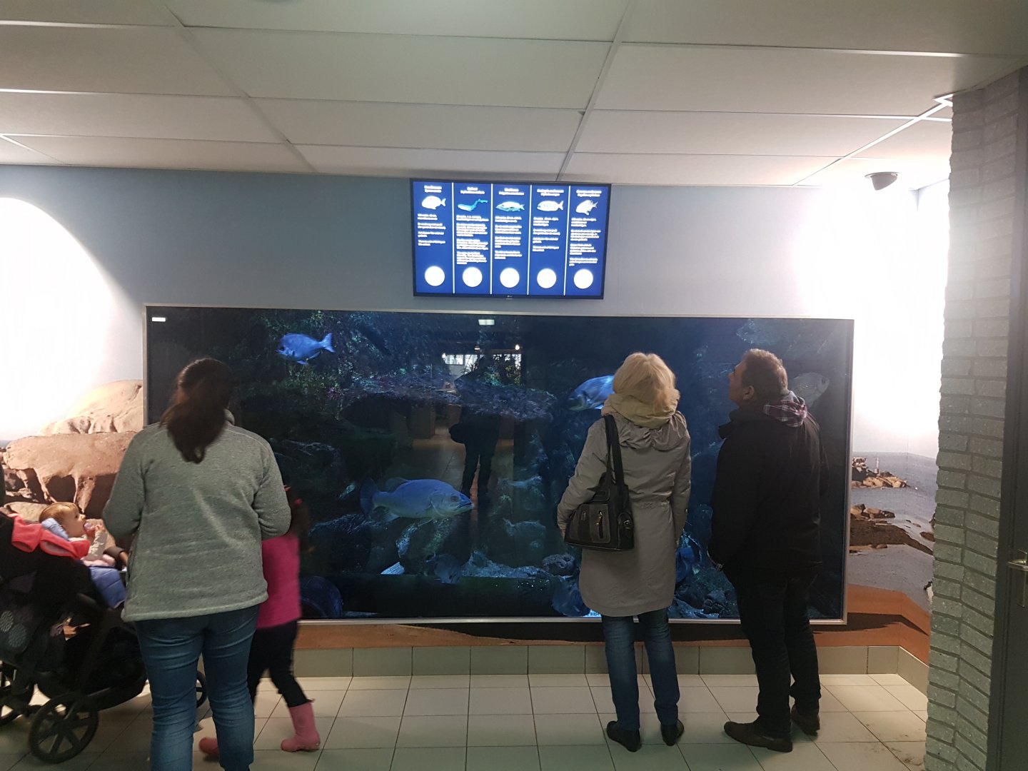 Mediterranean Aquarium