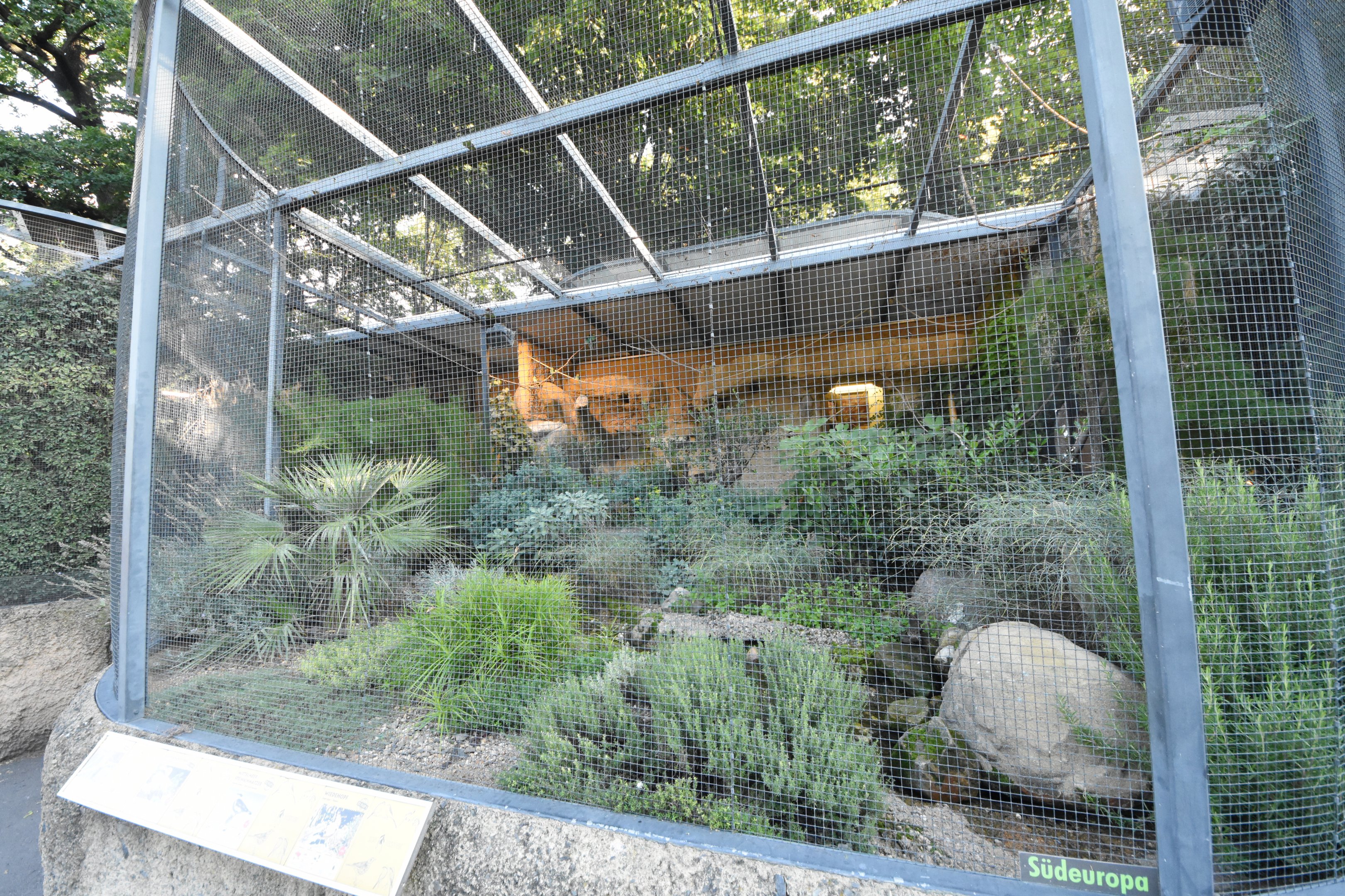 Mediterranean aviary