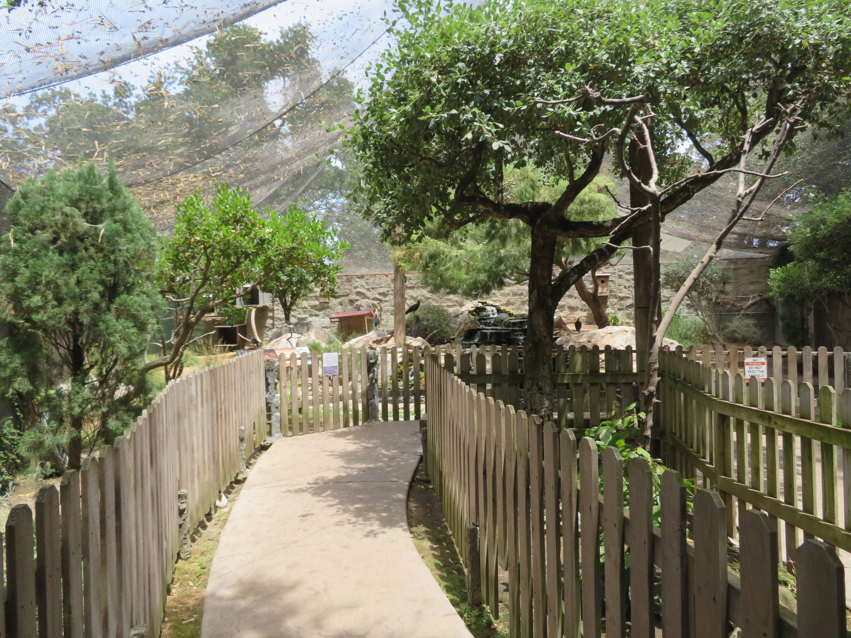 Mediterranean Aviary