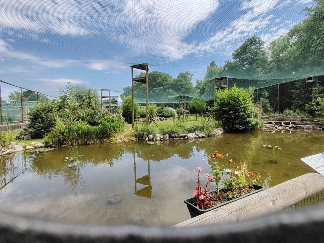 Mediterranean Aviary