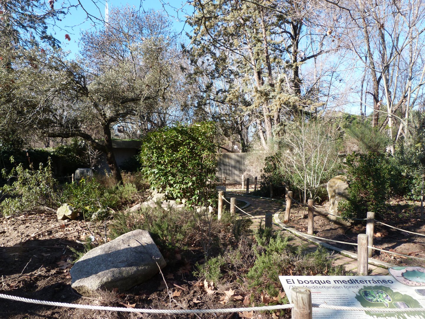 Mediterranean garden -Zoo Aquarium de Madrid (2025)