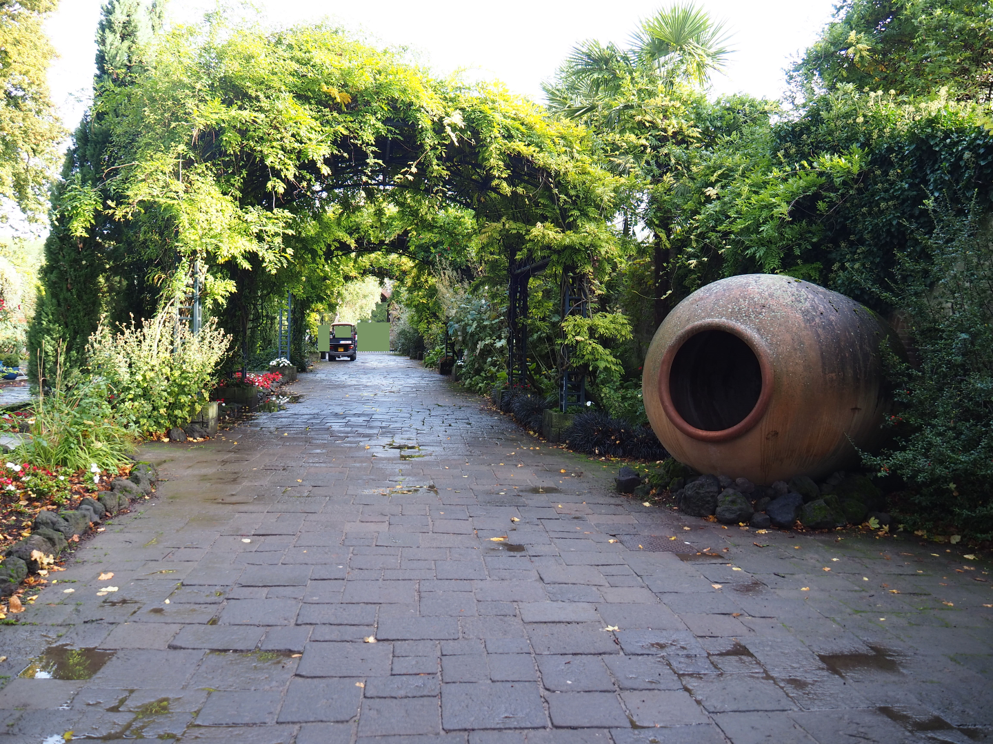 Mediterranean gardens and access road to the Oasis greenhouse, 2019-10-04