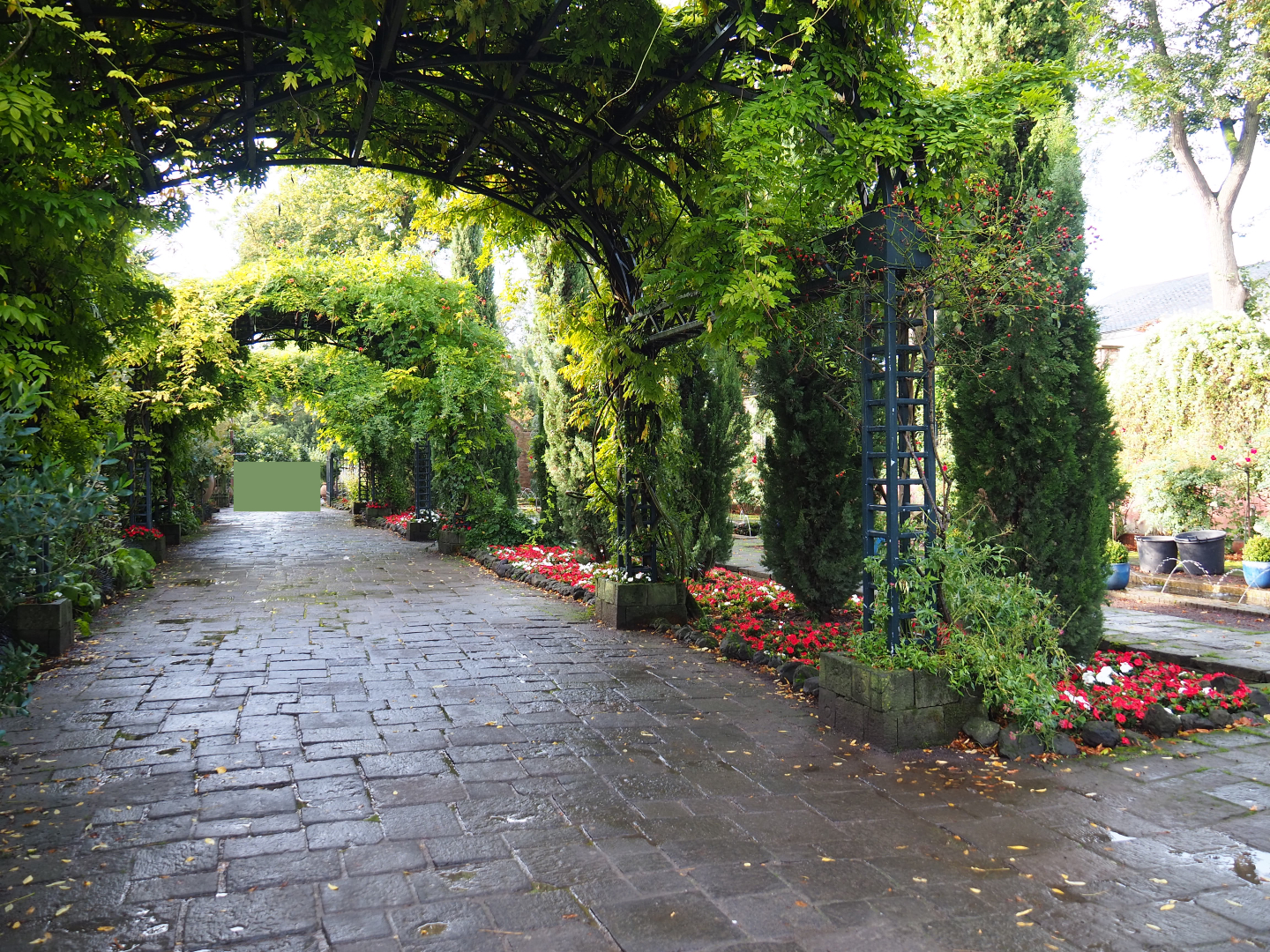 Mediterranean gardens and access road to the Oasis greenhouse, 2019-10-04