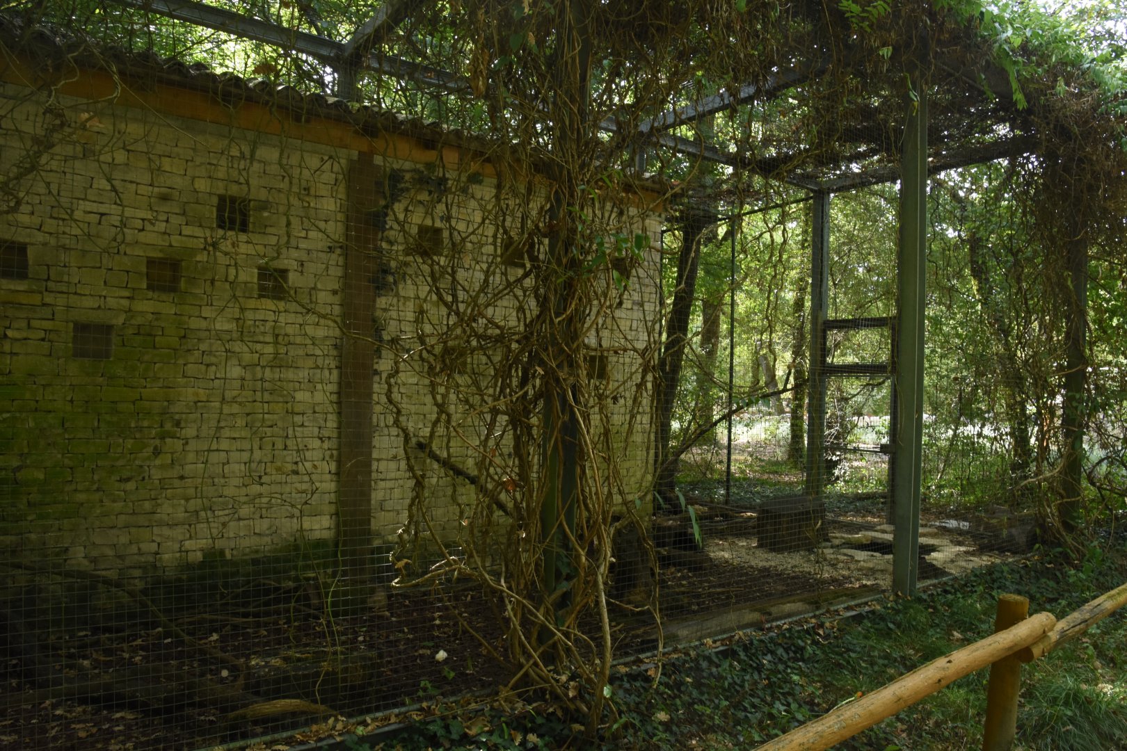 Mediterranean Genet cage