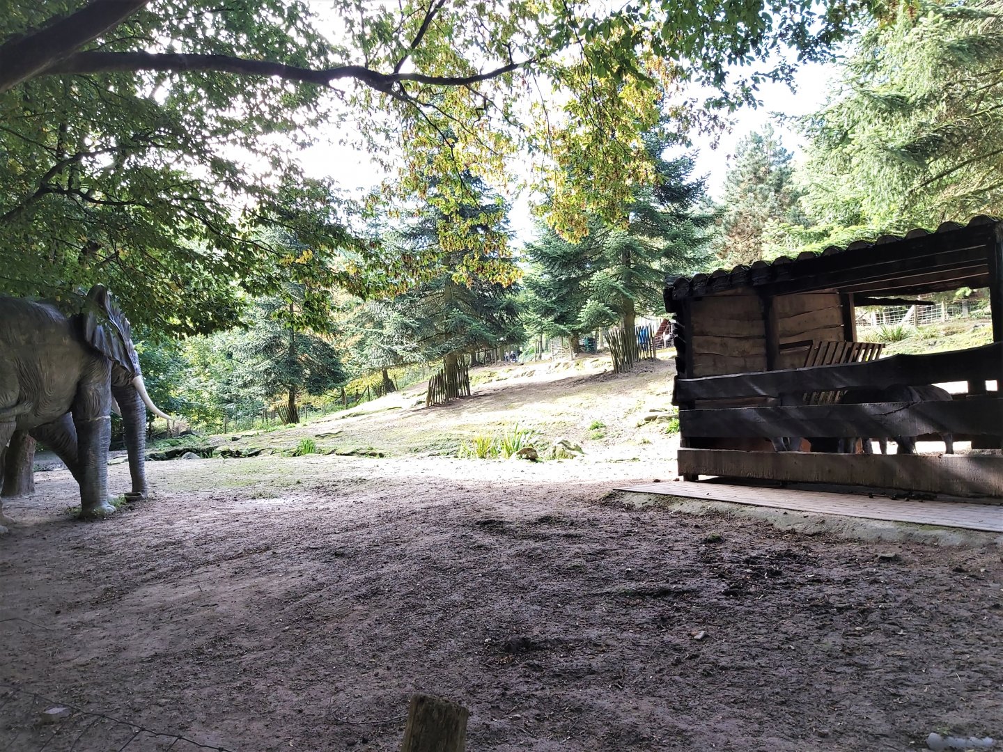 Mediterranean miniature donkey enclosure